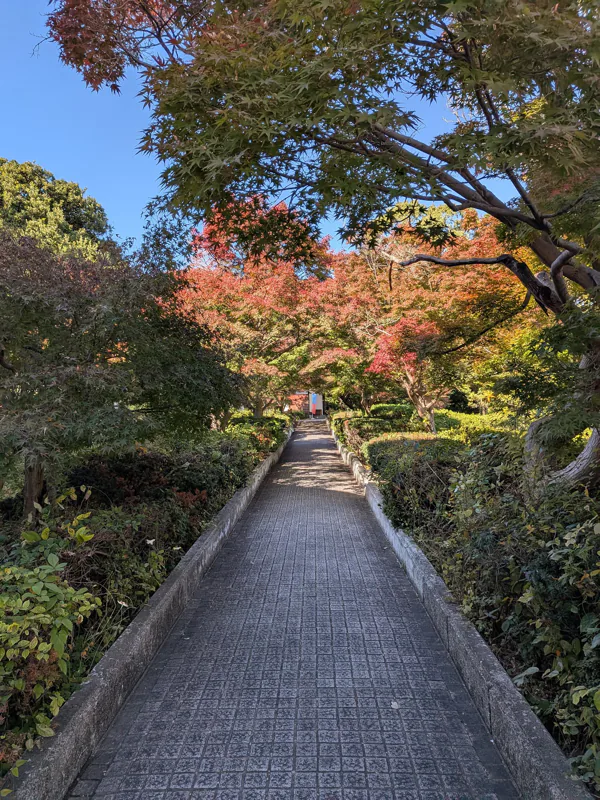 紅葉の園路。奥に茅葺門のバナー